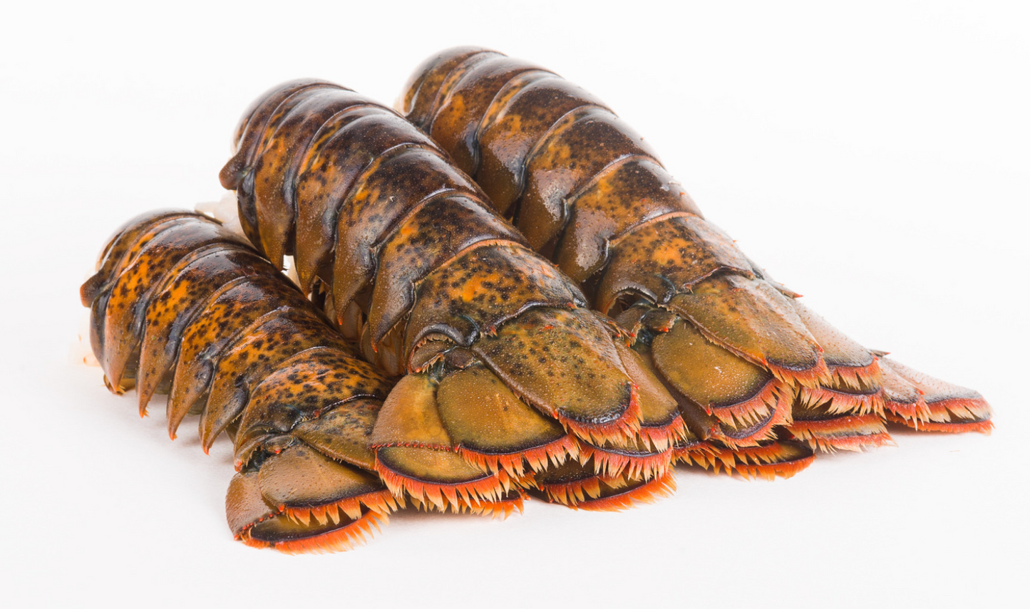 Fresh Lobster Tail (Per Piece)