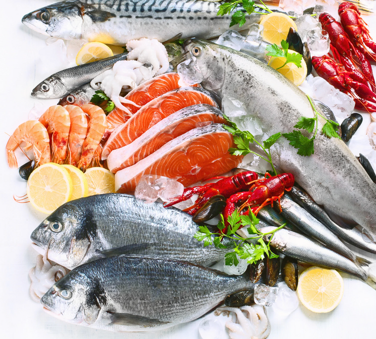 Seafood & Fish