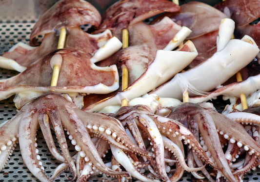 Giant Squid Skewers (140g x 5)