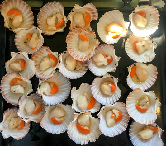 Half Shell Scallop (1kg)