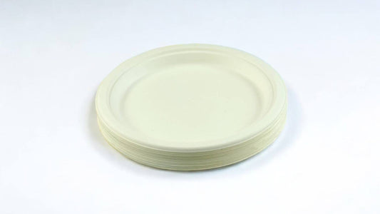 Disposable Plates (20 Pieces)